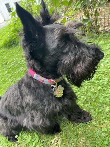 Living Her Best Life