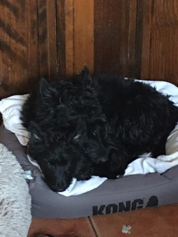 Our Little Girl