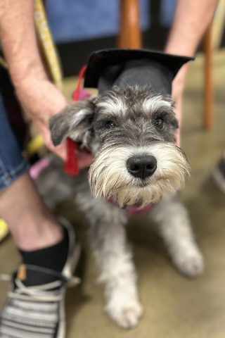 Daisy is One!
