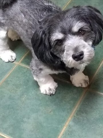 Wonderful Pup!