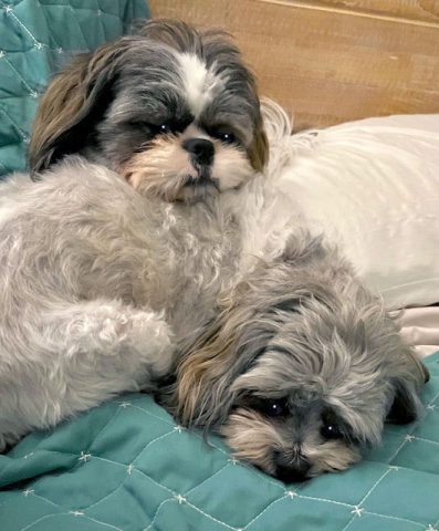 Tilly is doing wonderfully1