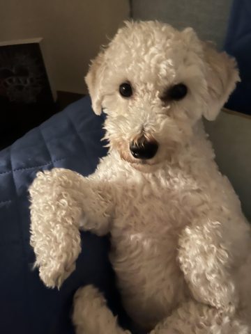 Sweetest Boy Ever!